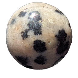 jaspe dalmatien