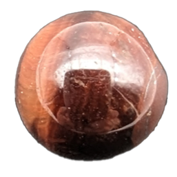 oeil de taureau