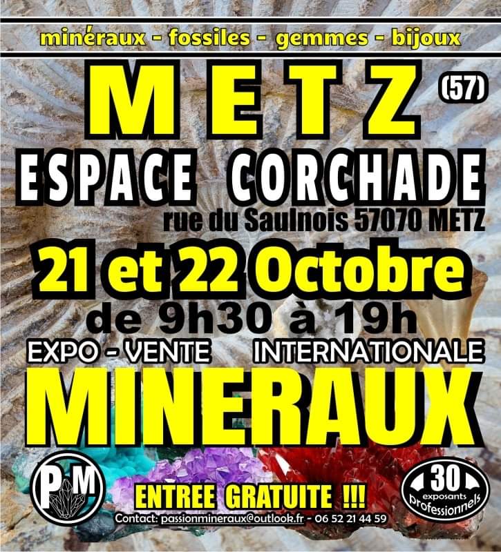 expo-mineraux-metz