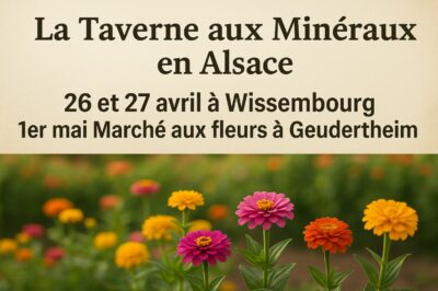 taverne-aux-mineraux-expo-alsace taverne-aux-mineraux-expo-alsace