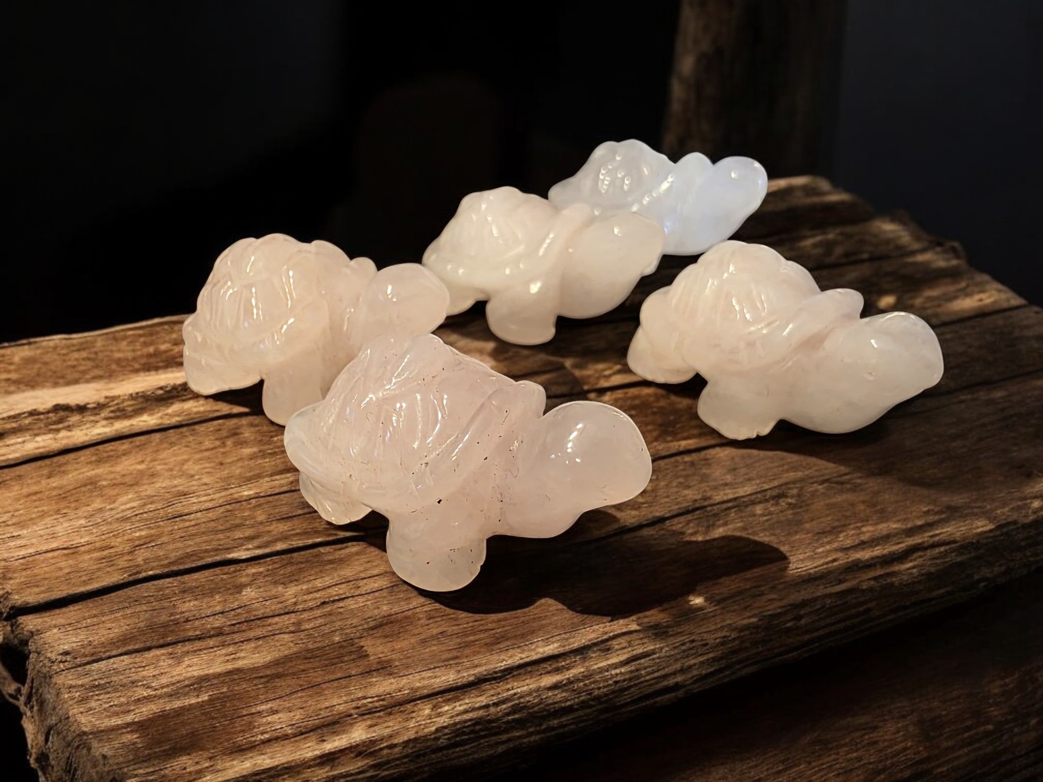 tortue quartz rose_5